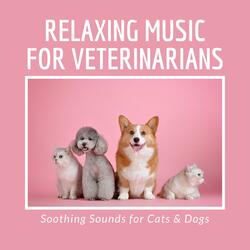 Calm Sounds
