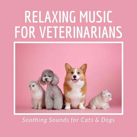 Relaxing Music for Veterinarians - Soothing Sounds for Cats & Dogs