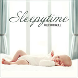 REM Sleep