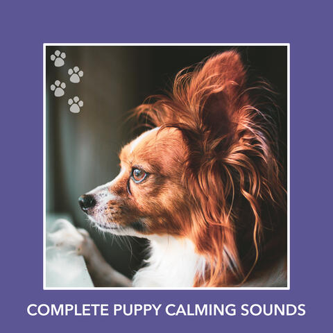 Complete Puppy Calming Sounds