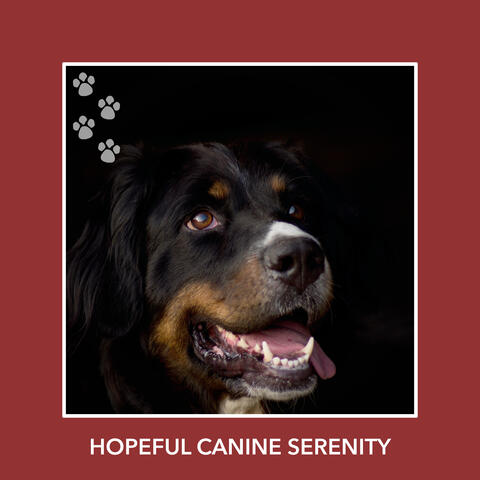 Hopeful Canine Serenity