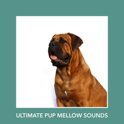 Healthy Puppy Anti Anxiety Ambience