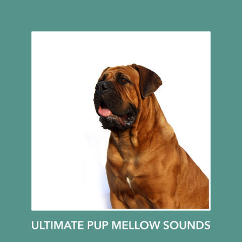 Ultimate Pup Mellow Sounds
