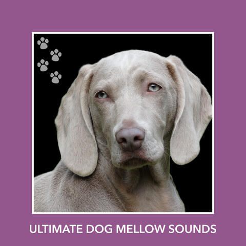 Ultimate Dog Mellow Sounds