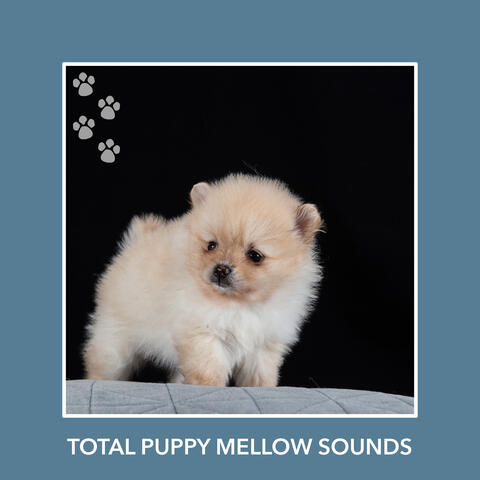 Total Puppy Mellow Sounds