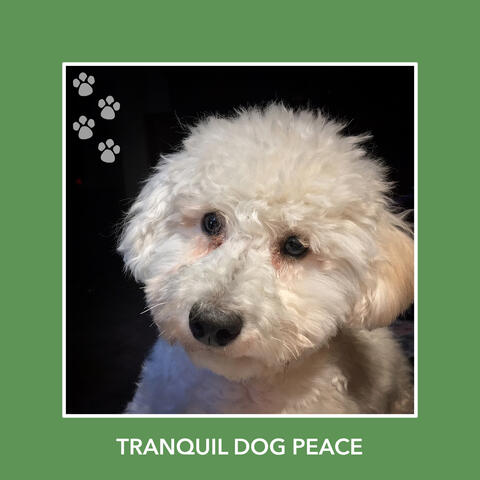 Tranquil Dog Peace