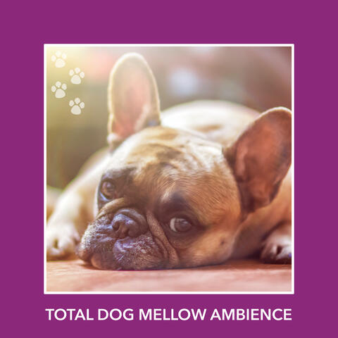 Total Dog Mellow Ambience