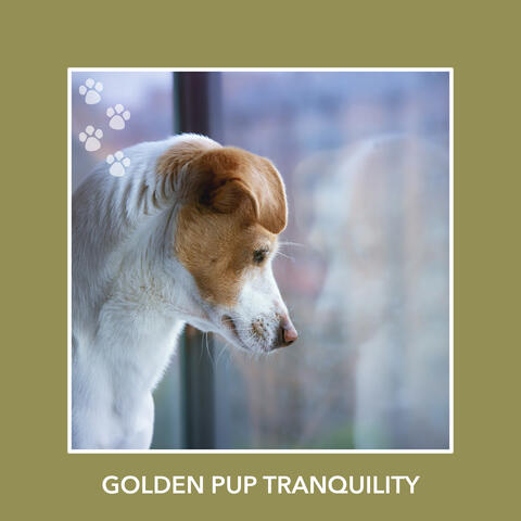 Golden Pup Tranquility