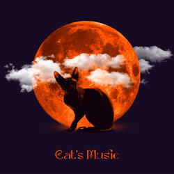 Cat of Wisdom