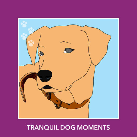 Tranquil Dog Moments