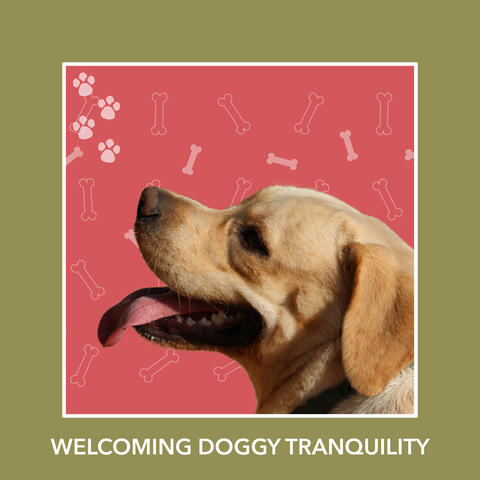 Welcoming Doggy Tranquility