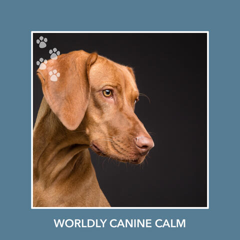 Worldly Canine Calm