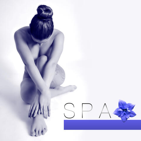 Tranquility Spa Universe