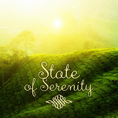 State of Serenity – Stress Release, Inner Peace & Total Relax with Calming Harp Music, Contemplations with Classics, Daily Reflections, Classical Music Space for Peace of Mind