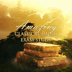 Violin Partita No. 3 in E Major, BWV 1006: VII. Gigue