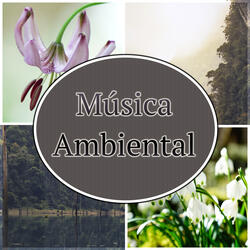 Música Romantica