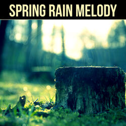 Rain Love Song