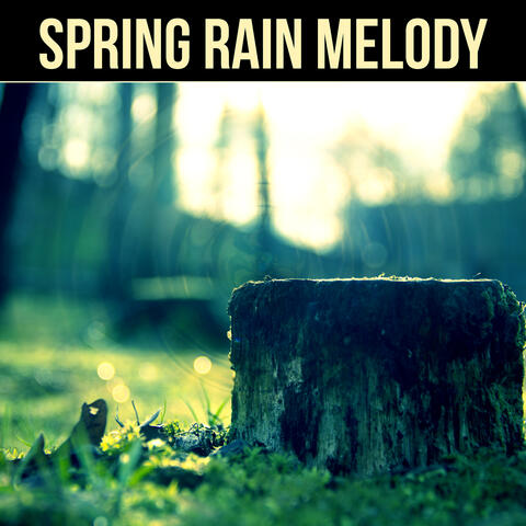Spring Rain Melody  -  Gentle Rain Sound & Healing Ocean Waves, Pure Nature Sounds for Relaxation and Easily Fall Asleep