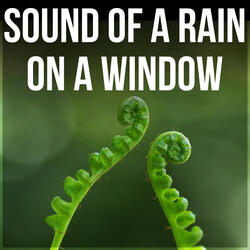 Sound of a Rain on a Window