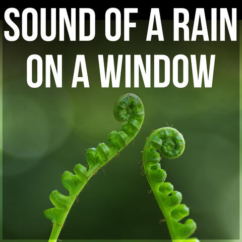 Sound of a Rain on a Window - Sound of Summer Rain, Calm Relaxing Nature Sounds, Water Sound Perfect for Sleep, Serenity Music to Reduce Anxiety and Sadness