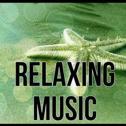 Echoes (Spa Music)