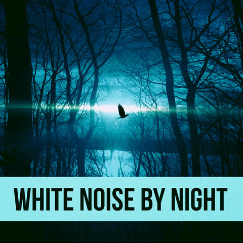 White Noise by Night - Lucid Dream, Delta Waves, Calming Sounds to Fall Asleep, Sleep Well