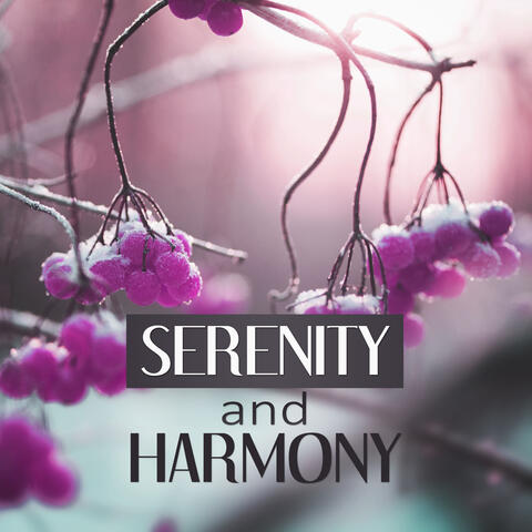 Serenity and Harmony – Calming Nature Sounds, In Harmony with Nature, Pacific Ocean Waves for Well Being and Healthy Lifestyle