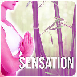 Reiki Healing (Background Music)