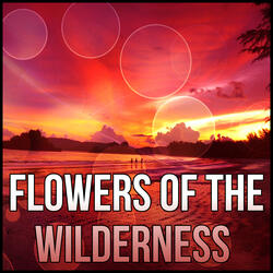 Flowers of the Wilderness