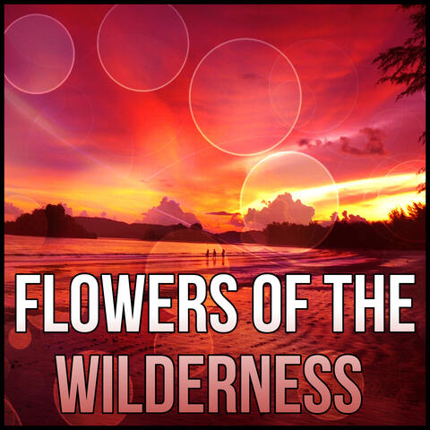 Flowers of the Wilderness - Ultimate Massage Relaxation, Music for Meditation, Relaxation, Massage Therapy
