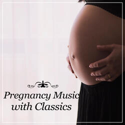 String Quintet in E Major, G.275: III. Minuetto