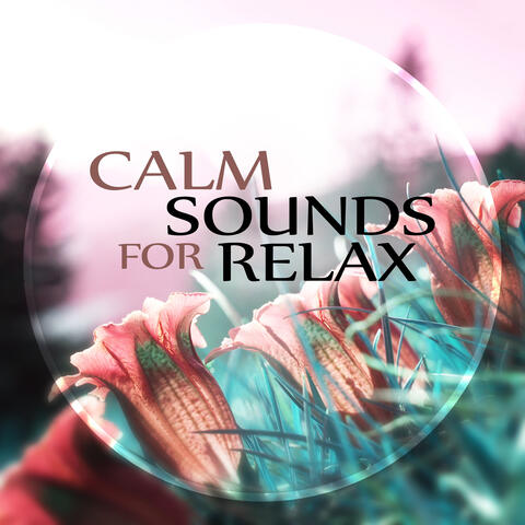 Calm Sounds for Relax – Relaxation Music, Amazing Home Spa, Insomnia Therapy, Relax & New Age Music, Instrumental Music with Nature Sounds for Massage Therapy & Intimate Moments