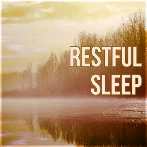 Sleep Music Dreamcatcher