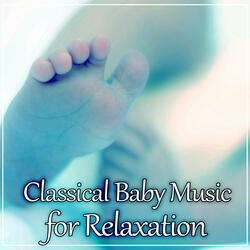 String Quartet No. 13 in A Minor, Op. 29, D. 804 “Rosamunde”: II. Andante