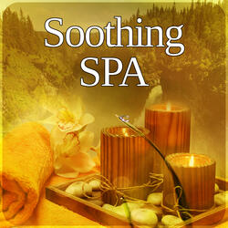 Reflexology (Stimulate Circulation and Improve Nervous System)