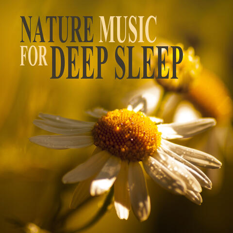 Nature Music for Deep Sleep - Mantras, Relaxation, Healing Songs, Chakra Balancing, Spirituality, Morning Prayer