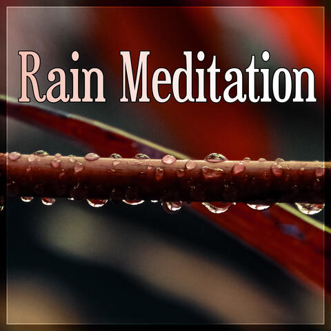 Rain Meditation - In Harmony with Nature Sounds, Healing Rain, Pacific Ocean Waves for Well Being