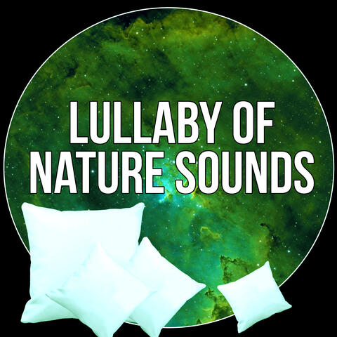 Lullaby of Nature Sounds - Best Sounds of Nature to Deep & Meditation for Adult and Baby, Relax After Heavy Day and Feel Positive Energy, White Noises and Nature Sounds to Relax and Fall Asleep