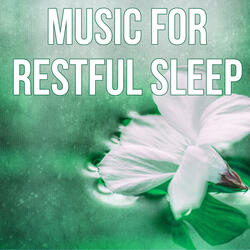 Dark Night (Dreamland)