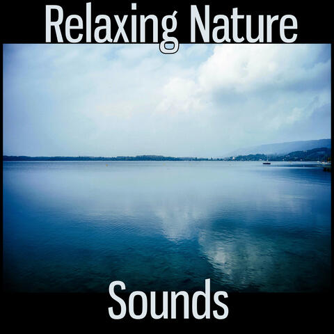 Relaxing Nature Sounds – Nature Sounds to Help You Relax, Easy Listening, Sad Piano Music, Inspirational Music, Beautiful Nature Sounds, Total Relax