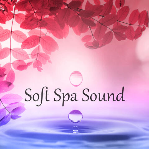Soft Spa Sound – Deep Healing Relaxation, Pure Therapy Music, Purity, Beauty Center, Massage