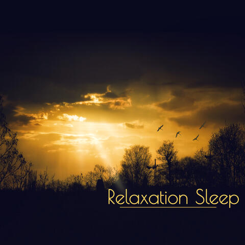 Deep Sleep Relaxation Universe