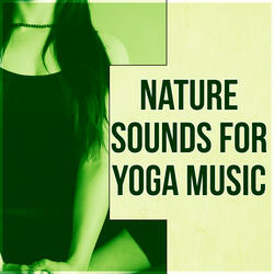 Chillout Relaxation (Yoga Music)
