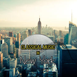 String Quartet No. 14 in D Minor, D. 810 ''Death and the Maiden'': II. Andante con moto (Harp Version)