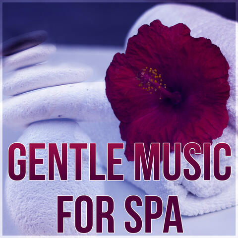 Gentle Music for Spa – Massage, Music Therapy, Ocean Waves, Harmony New Age, Wellness, Pure Relaxation