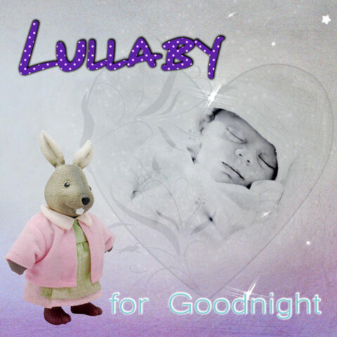 Baby Lullaby Festival
