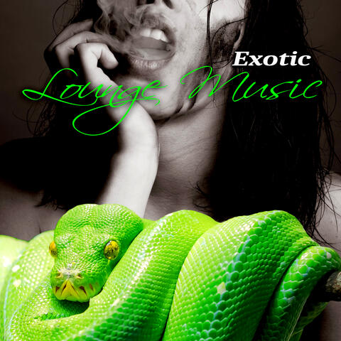 Exotic Lounge Music - Oriental Dance, Buddha Chill Lounge Collection, Tantric Café & Exotic Party Music, Sexy Asian Fashion, Indian Bar Music, Taste of the Chillout, Sex Music