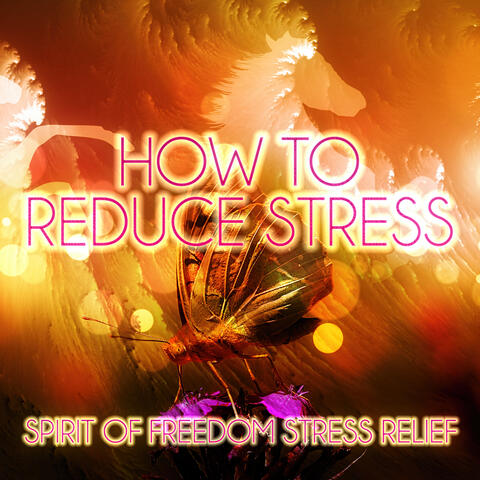 Stress Release Music Society
