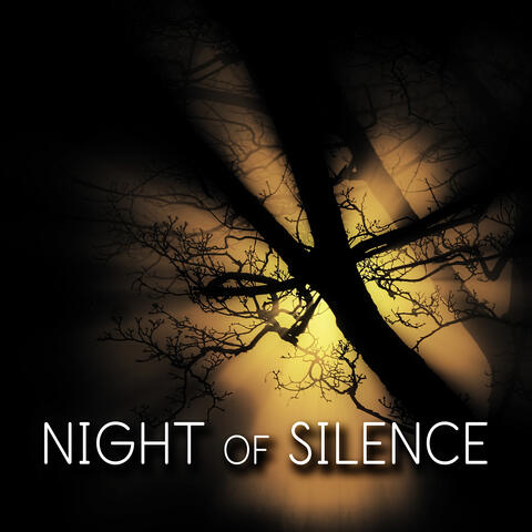 Night of Silence - Good Night's Sleep, Dreaming All Night Long, Background Music for Trouble Sleeping, Soothing Sounds for Relaxation and Inner Peace, Lounge Music
