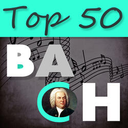 Violin Partita No. 3 in E Major, BWV 1006: I. Prelude